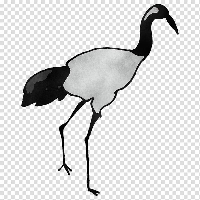 crane birds blue jay ibis owls, Pelican, Eastern Bluebird, Pelecaniformes, Barn Owl, Stork, Songbirds, Beak transparent background PNG clipart