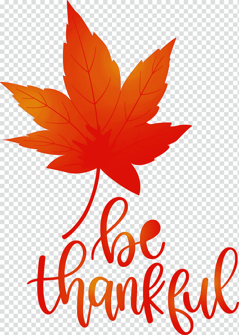 Thanksgiving Be Thankful Give Thanks, Leaf, Maple Leaf, Flower, Tree, Meter, Line transparent background PNG clipart