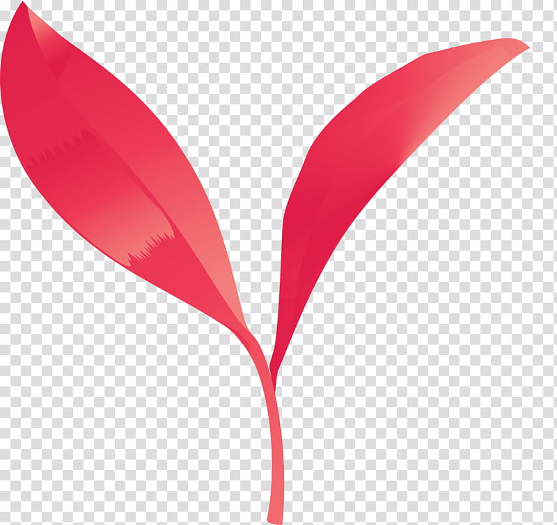 tea leaves leaf spring, Spring
, Red, Pink, Plant, Flower, Petal, Anthurium transparent background PNG clipart