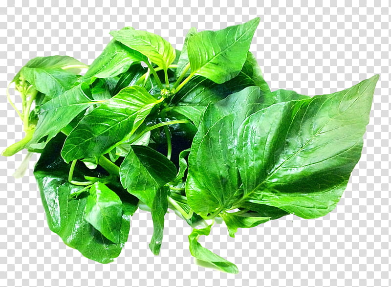 Leaf, Greens, Amaranth Grain, Food, Spinach, Vegetable, Amaranthus Viridis, Amaranthus Dubius transparent background PNG clipart