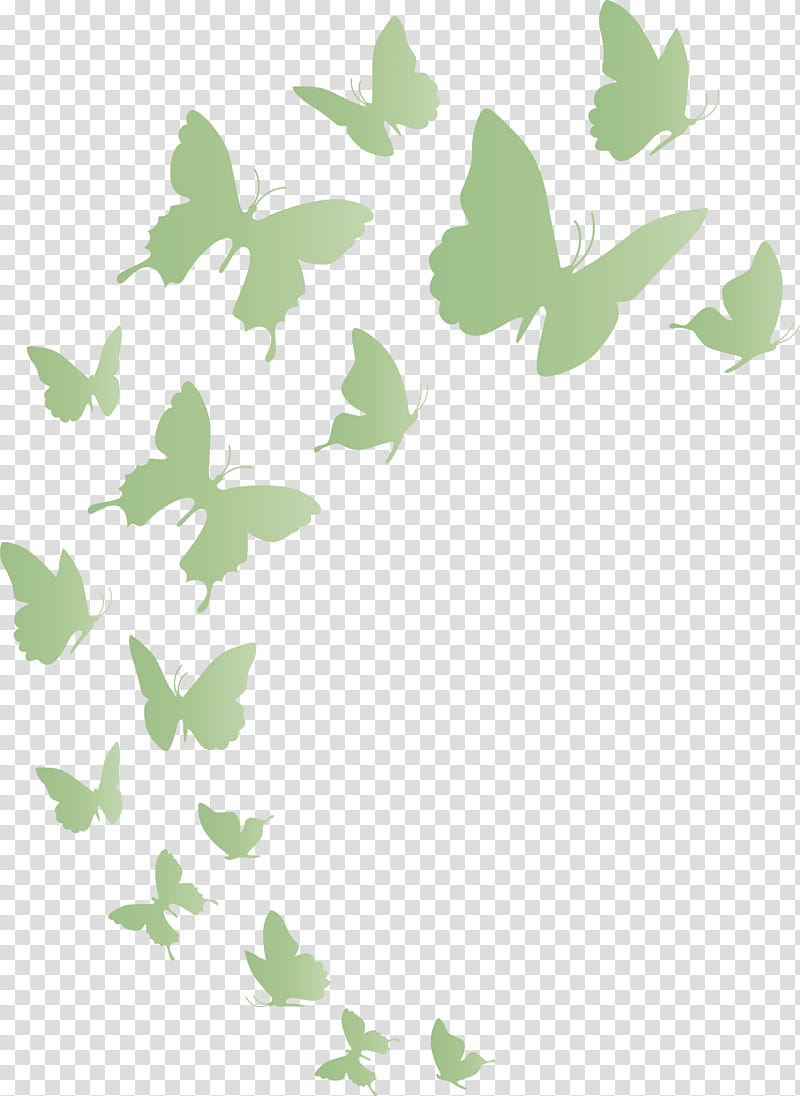 Butterfly background flying butterfly, Twig, Plant Stem, Leaf, Green, Meter, Plants, Science transparent background PNG clipart
