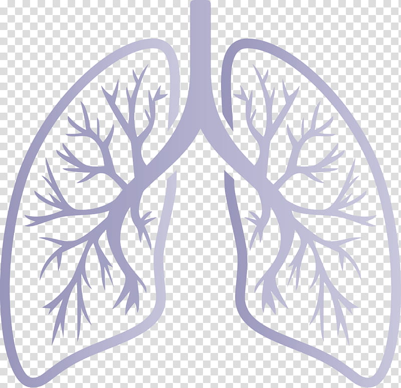lungs COVID Corona Virus Disease, Leaf, Tree, Branch, Ornament, Plant, Symmetry transparent background PNG clipart