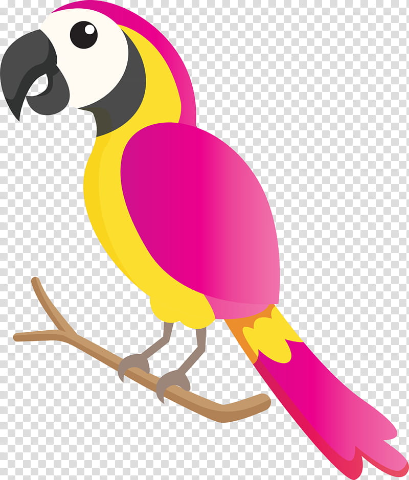 parrots birds beak hornbill toucans, Bird Cartoon, Cute Bird, Macaw, Education
, Flightless Bird, Curriculum, Teacher transparent background PNG clipart