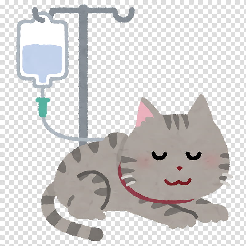 Pet Health Health Care, Cat, Cartoon, Small To Mediumsized Cats, Snout, Whiskers, Tail, Kitten transparent background PNG clipart