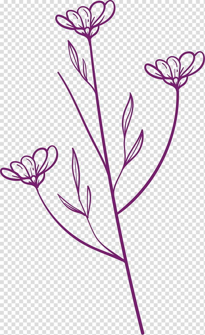 simple leaf simple leaf drawing simple leaf outline floral design plant stem cut flowers petal line art twig meter png clipart