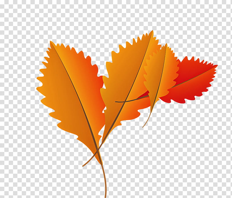 drawing motion graphics watercolor painting computer gear, Autumn Leaf, Fall Leaf, Cartoon Leaf transparent background PNG clipart