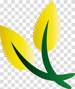 Ecology environmental protection, Natural Environment, Leaf, Plant Stem, Meter, Yellow, World Environment Day, Plants transparent background PNG clipart thumbnail