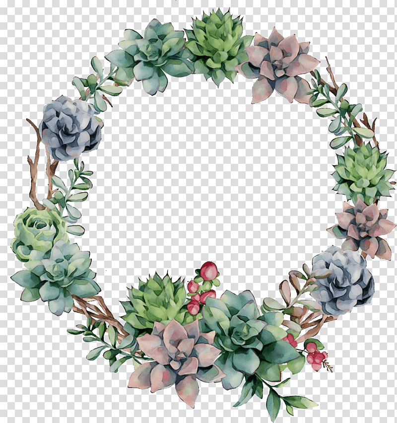 Frame, Watercolor, Paint, Wet Ink, Succulent Plant, Watercolor Painting, Cactus transparent background PNG clipart