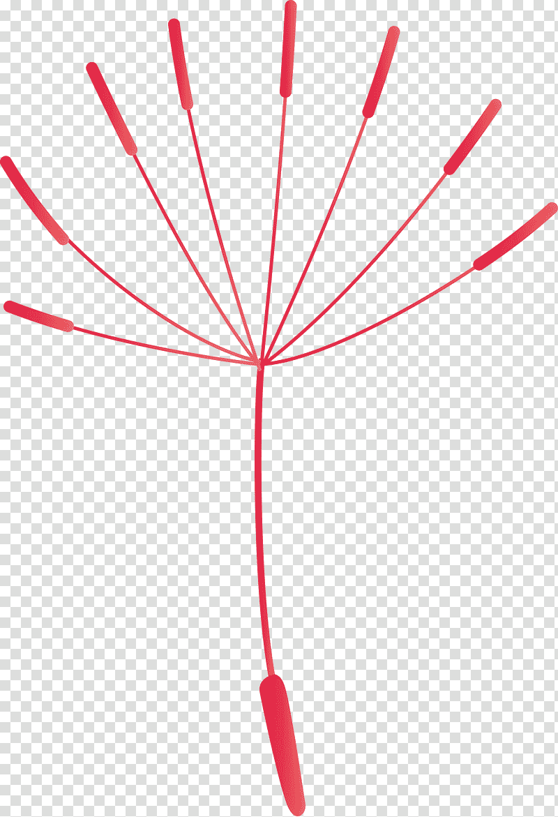 dandelion, Leaf, Line, Meter, Red, Biology, Geometry transparent background PNG clipart