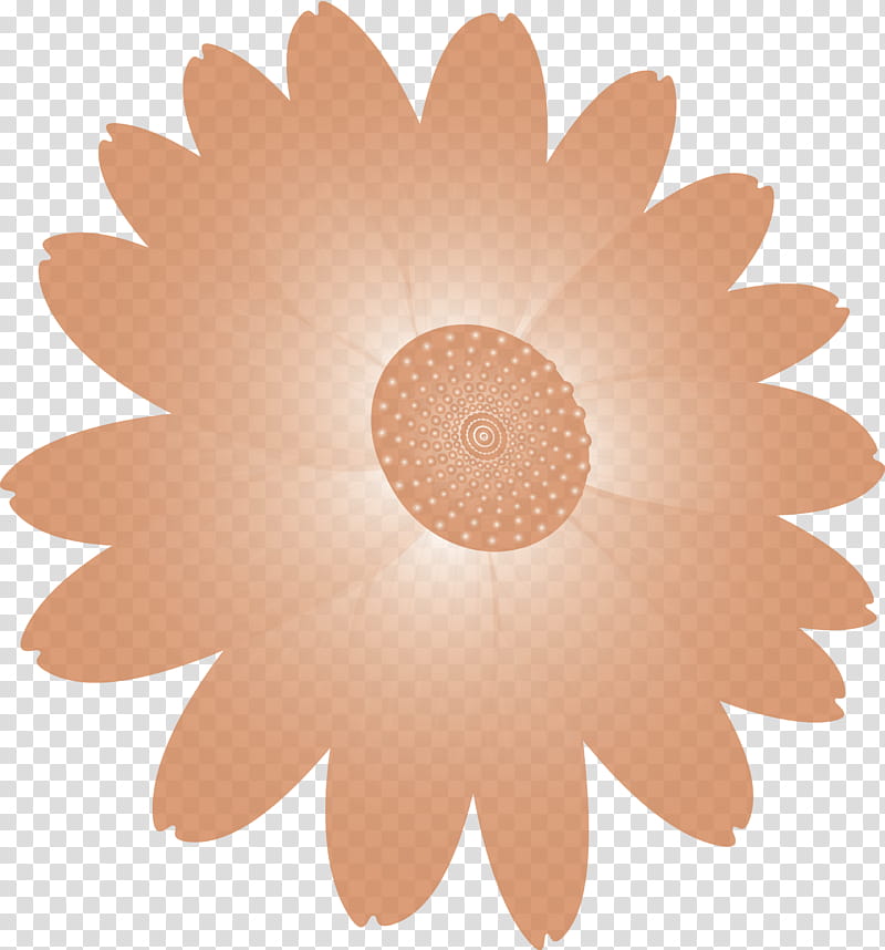 marguerite flower spring flower, Gerbera, Petal, Plant, Daisy, Daisy Family, Circle, Pollen transparent background PNG clipart