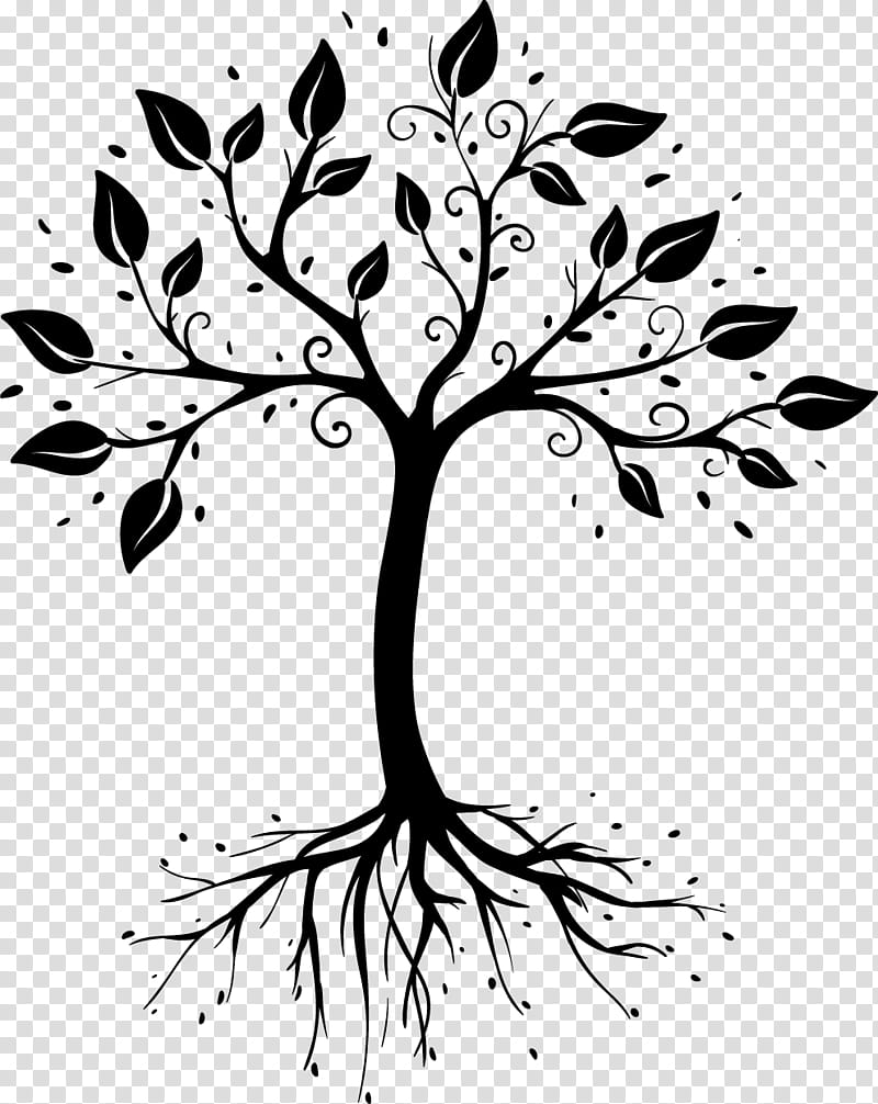 black-and-white branch tree leaf plant, Blackandwhite, Plant Stem, Woody Plant, Root, Grass, Flower, Twig transparent background PNG clipart
