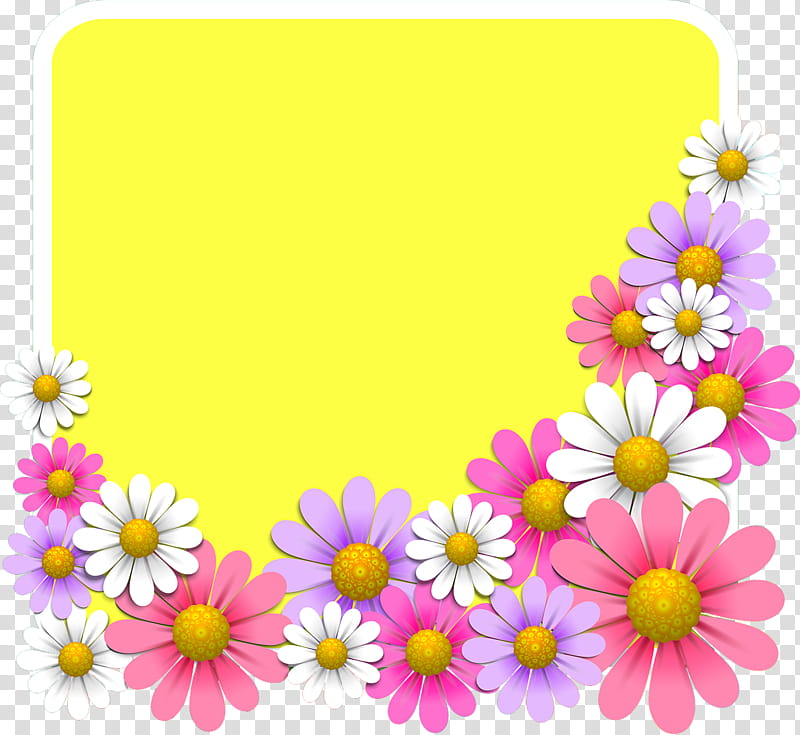 Flower Square Frame Floral Square Frame, Chamomile, Yellow, Daisy, Camomile, Plant, Petal, Mayweed transparent background PNG clipart