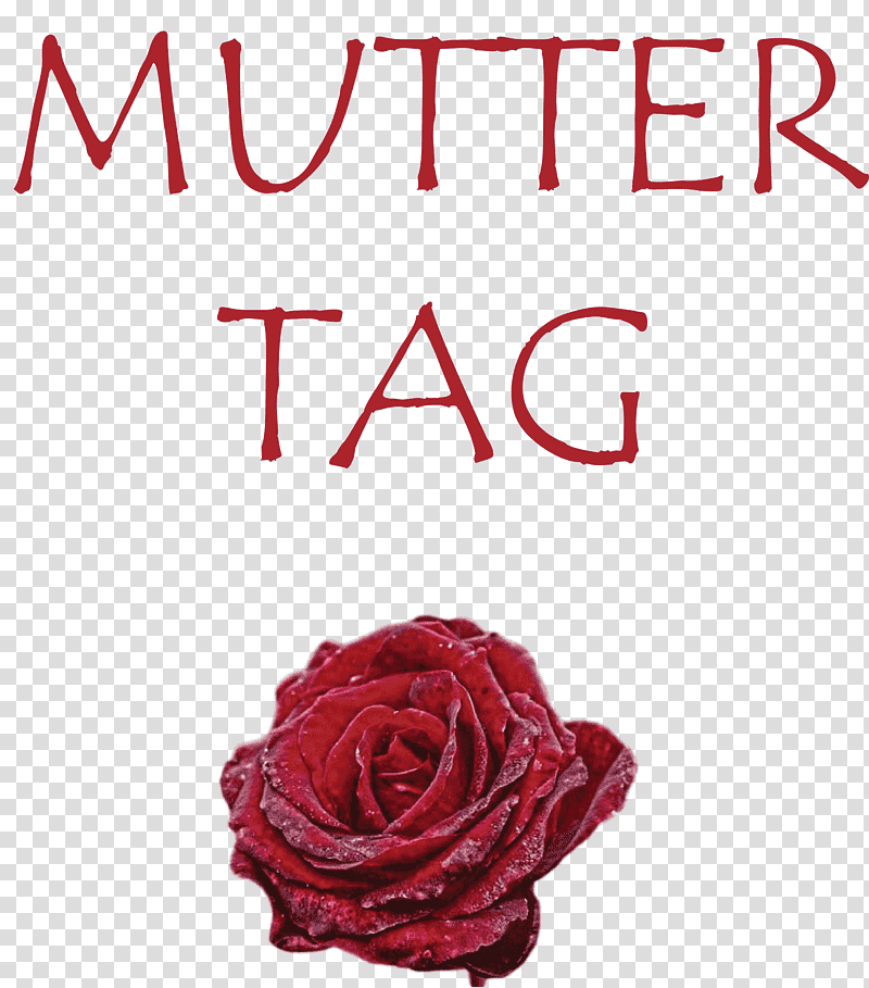 Muttertag Mother's Day, Christ The King, St Andrews Day, St Nicholas Day, Watch Night, Thaipusam, Tu Bishvat transparent background PNG clipart