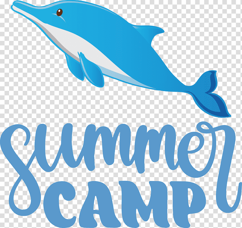 Summer Camp Summer Camp, Summer
, Dolphin, Cetaceans, Meter, Logo, Whales transparent background PNG clipart