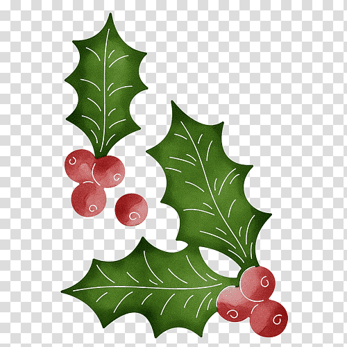 Christmas Day, Watercolor, Paint, Wet Ink, Holly, Aquifoliales, Leaf transparent background PNG clipart