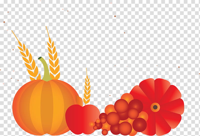 Vegetable Harvest Autumn, Orange, Vegetarian Cuisine, Mandarin Orange, Squash, Computer, Hahn Hotels Of Sulphur Springs Llc, Vegetarianism transparent background PNG clipart