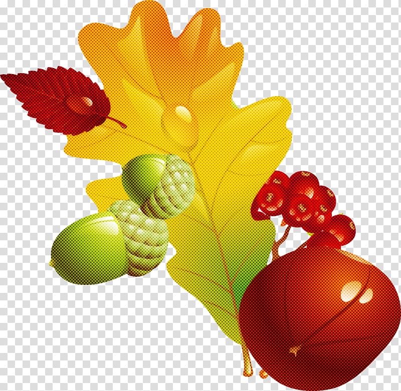 Holly, Leaf, Grape, Plant, Fruit, Grapevine Family, Vegetarian Food, Flower transparent background PNG clipart