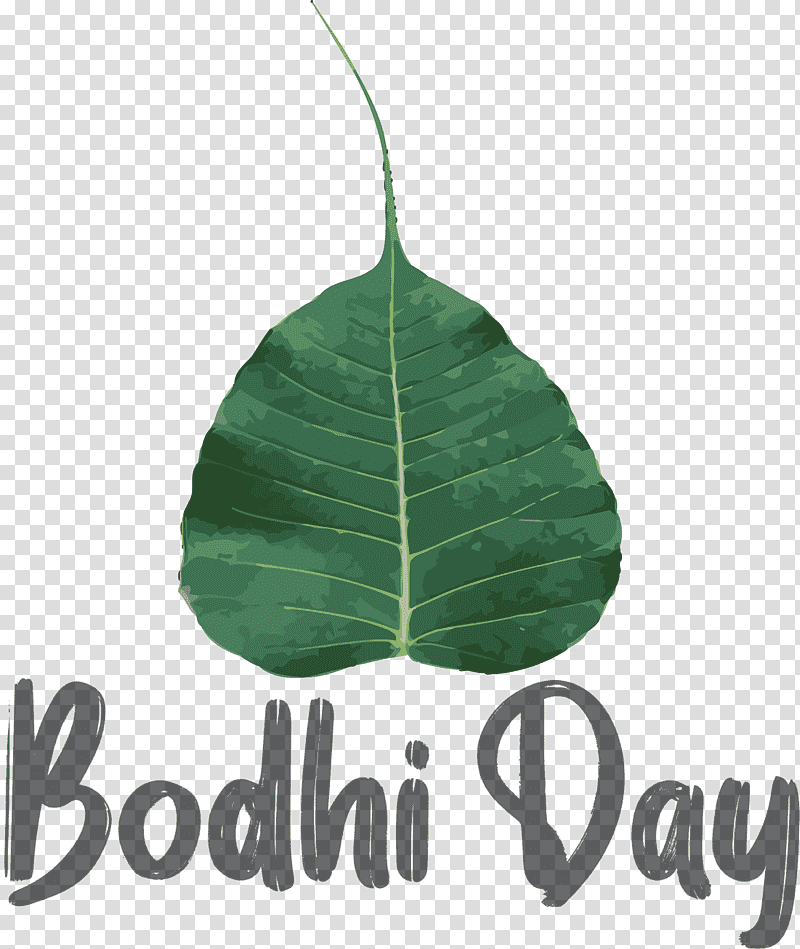 Bodhi Day, Leaf, Meter, Plant Structure, Science, Biology, Plants transparent background PNG clipart
