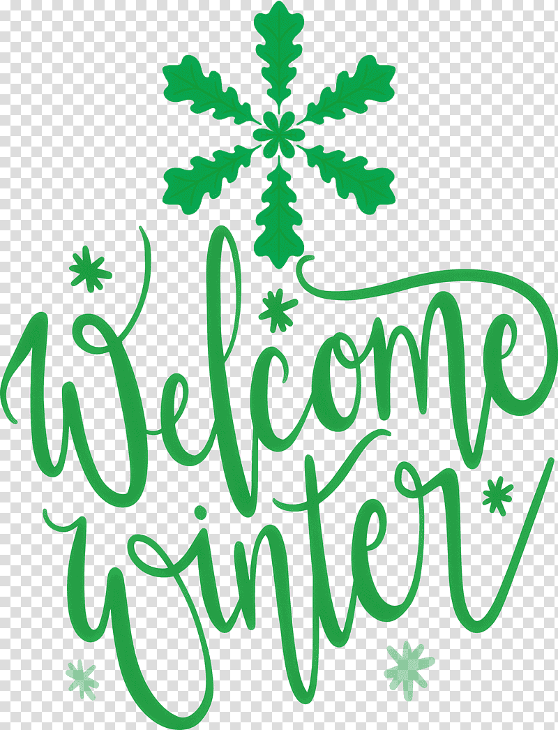 Welcome Winter, Leaf, Plant Stem, Meter, Logo, Flower, Symbol transparent background PNG clipart