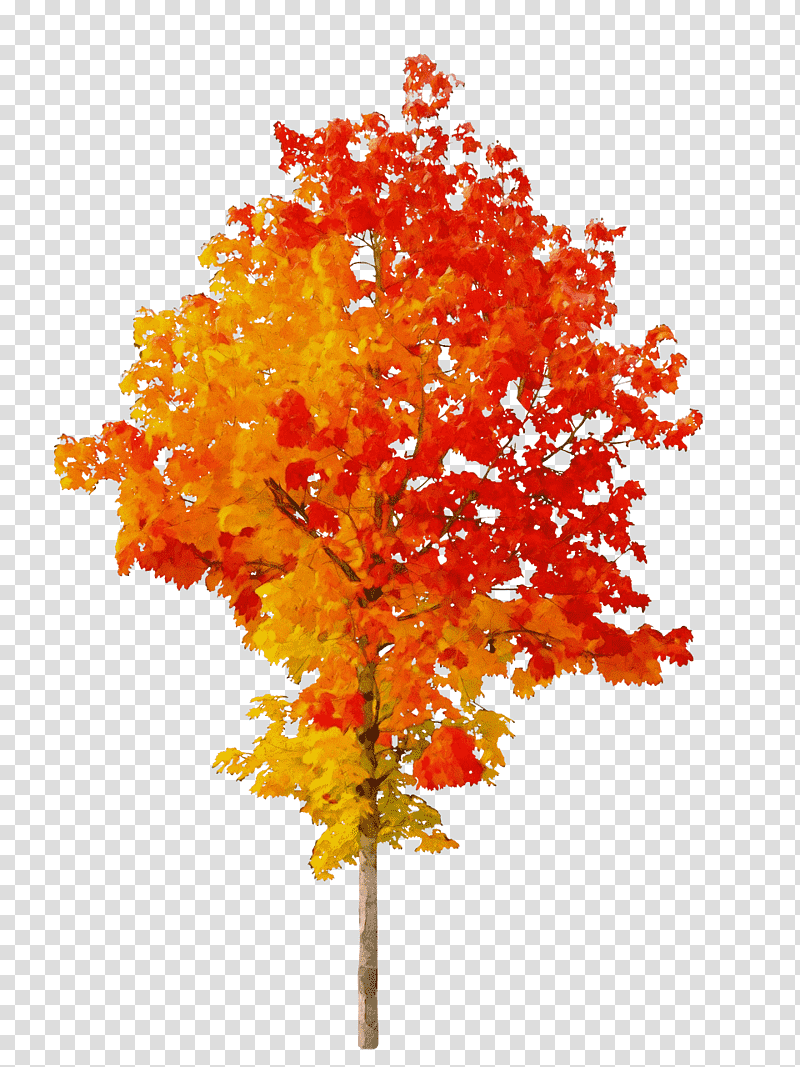 Autumn Fall Tree Open Transparency, Watercolor, Paint, Wet Ink, Season, Autumn Leaf Color, Orange transparent background PNG clipart