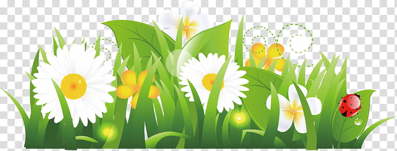 Marguerite gerbera daisy, Autumn Flower, Drawing, Grasses, Cartoon, Line Art, Plant Stem, Flower transparent background PNG clipart