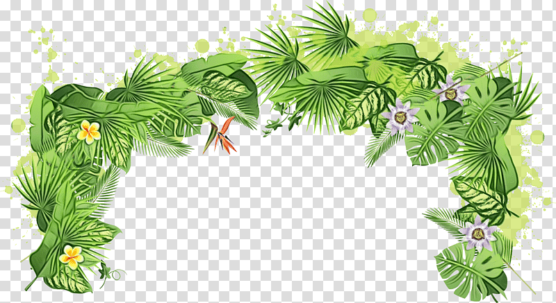rainforest grasses forest blog leaf, Watercolor, Paint, Wet Ink, Tree, Plant transparent background PNG clipart