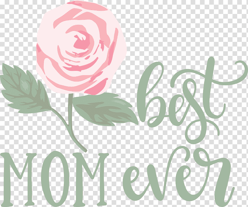 Mothers Day best mom ever Mothers Day Quote, Sticker, Floral Design, Garden Roses, Text, Cut Flowers, Poison transparent background PNG clipart
