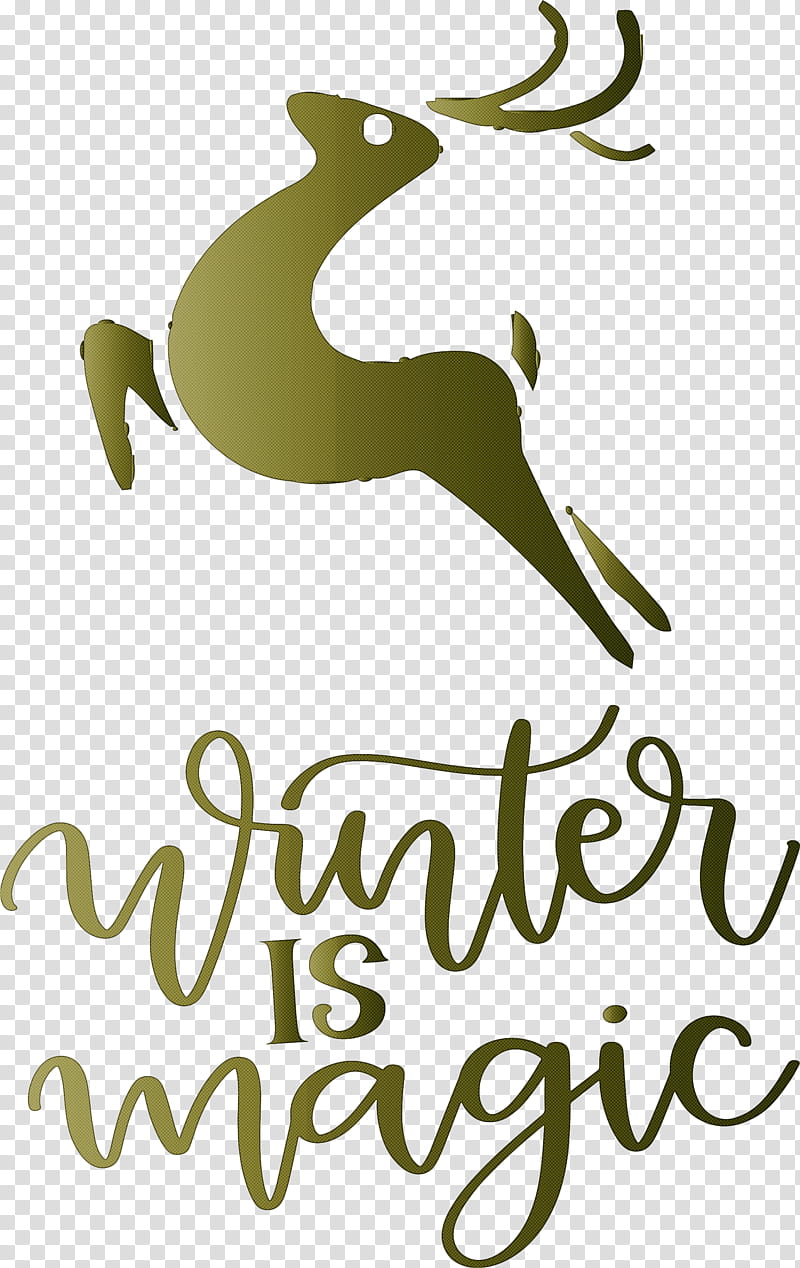 Winter Is Magic Hello Winter Winter, Winter
, Birds, Logo, Text, Beak, Leaf transparent background PNG clipart