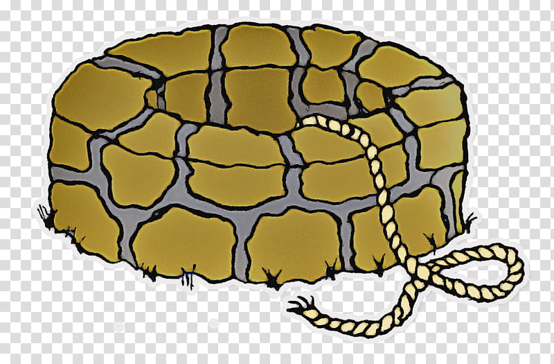 tortoise tortoise m pattern transparent background PNG clipart