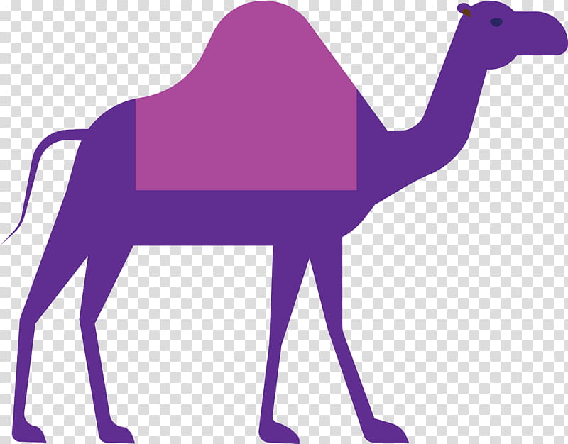Camel Ramadan arabic culture, Purple, Violet, Arabian Camel, Camelid transparent background PNG clipart