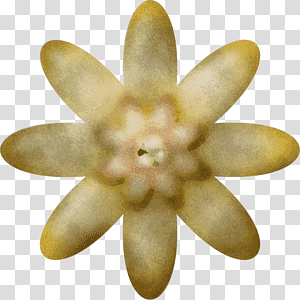 flower petal transparent background PNG clipart thumbnail