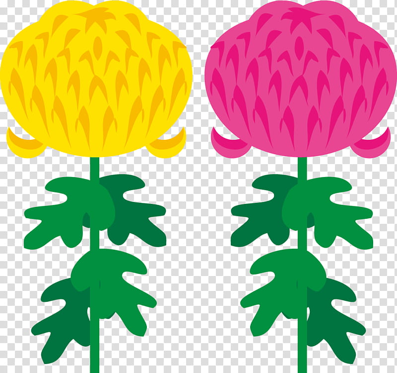 Chrysanthemum chrysanths, Plant Stem, Leaf, Petal, Green, Mtree, Plants, Plant Structure transparent background PNG clipart