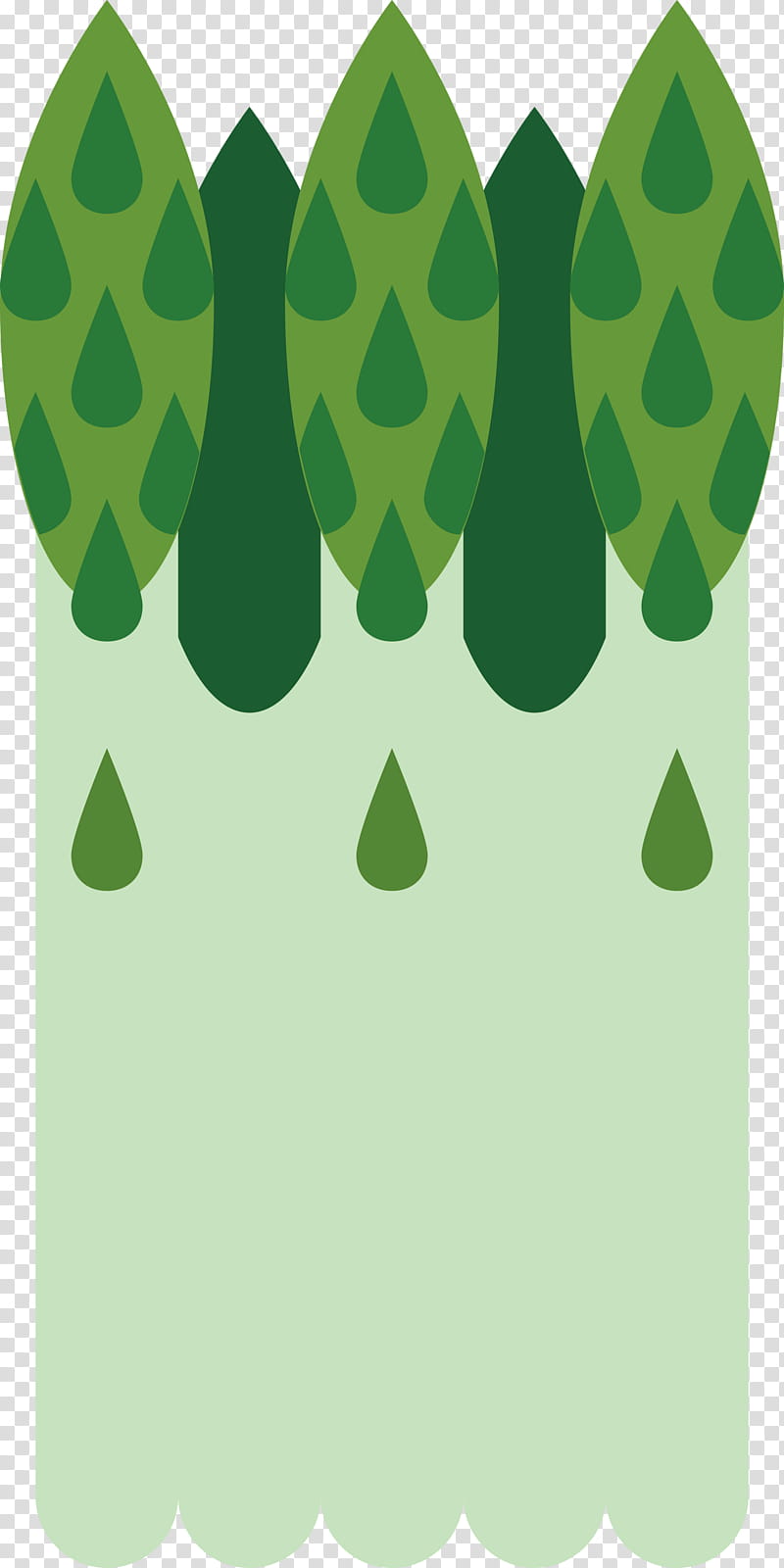 Asparagus, Green, Leaf, Tree, Plant transparent background PNG clipart