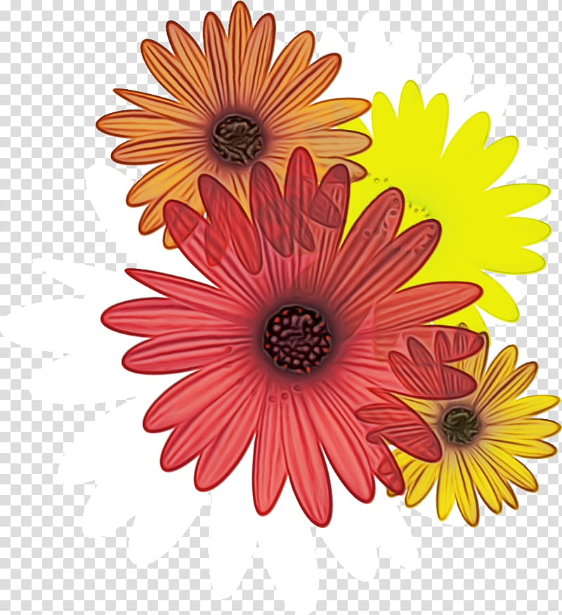 Artificial flower, Gerbera, Daisy, Marguerite, Watercolor, Paint, Wet Ink, Common Daisy transparent background PNG clipart