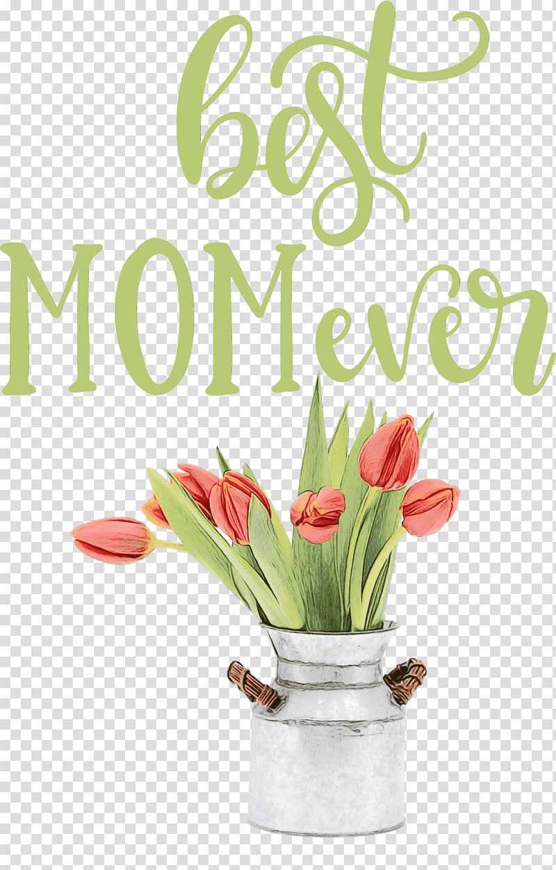 tulip mania tulip dutch golden age flower, Mothers Day, Best Mom Ever, Watercolor, Paint, Wet Ink transparent background PNG clipart