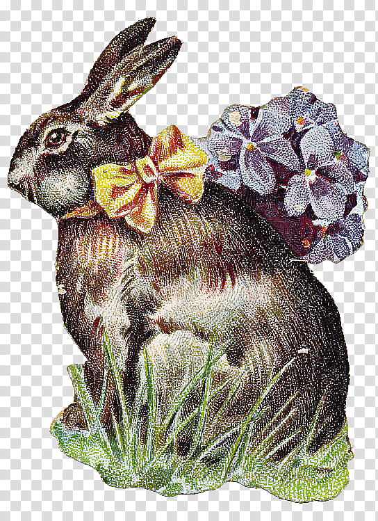 rabbit rabbits and hares hare plant animal figure, Flower, Violet Family, Wood Rabbit transparent background PNG clipart