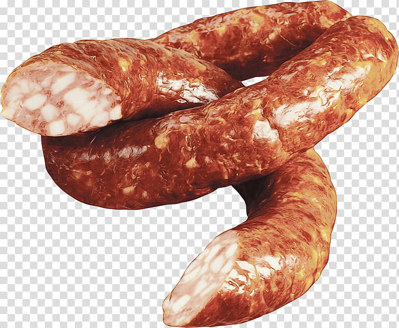 Dog Food, Sausage, Rookworst, Hot Dog, Breakfast Sausage, Lorne Sausage, Sandwich, Cervelat transparent background PNG clipart