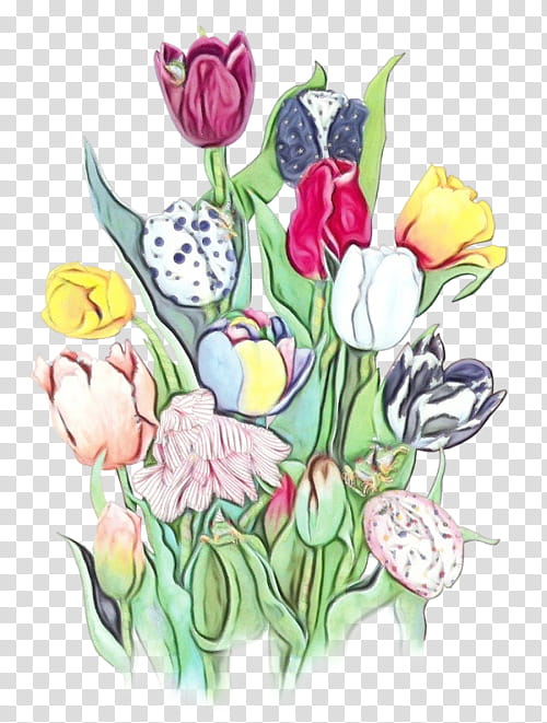 flower tulip plant cut flowers lily family, Watercolor, Paint, Wet Ink, Bouquet, Watercolor Paint, Petal, Anthurium transparent background PNG clipart