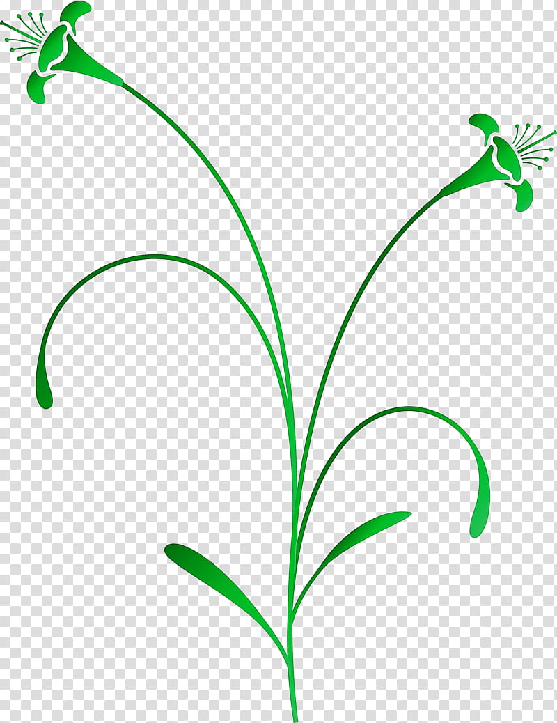 easter flower spring flower, Leaf, Green, Plant, Plant Stem, Grass, Pedicel, Lily Of The Valley transparent background PNG clipart