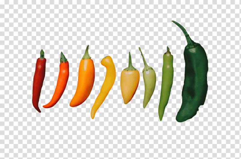cayenne pepper habanero peppers yellow pepper malagueta pepper, Serrano Pepper, Birds Eye Chili, Pasilla, Tabasco Pepper, Natural Food, Superfood transparent background PNG clipart