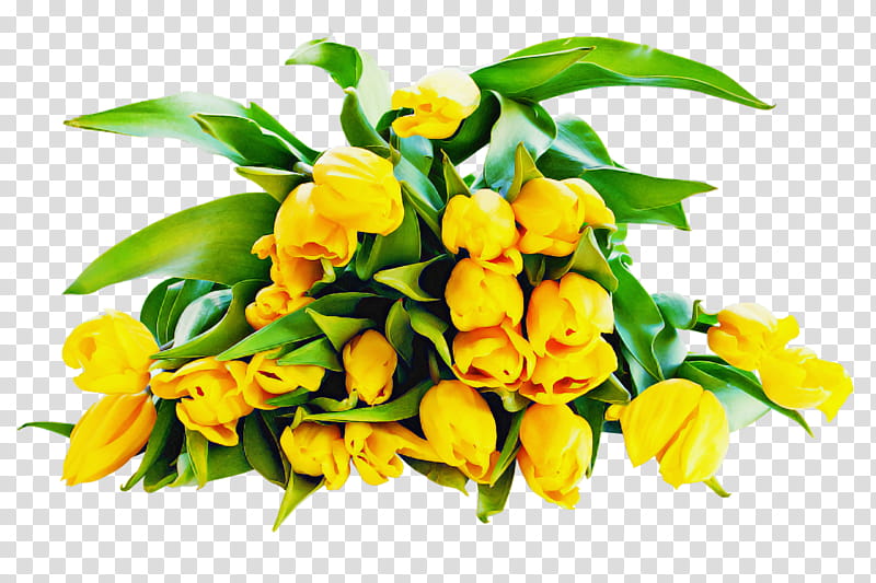 Artificial flower, Plant, Yellow, Cut Flowers, Bouquet, Petal, Impatiens, Dendrobium transparent background PNG clipart