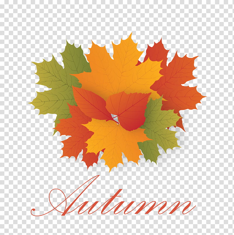 Hello Autumn Welcome Autumn Hello Fall, Welcome Fall, Maple Leaf, American Senior Benefits Llc, Meter, Computer, Biology, Plants transparent background PNG clipart