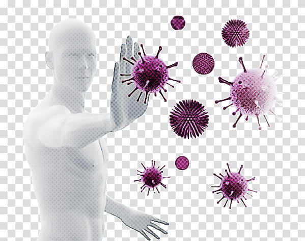 immunity immune system health probiotic bacteria, Virus, Coronavirus, Lactobacillus Acidophilus, Severe Acute Respiratory Syndrome Coronavirus 2, Medicine, Antigen, Physiology transparent background PNG clipart