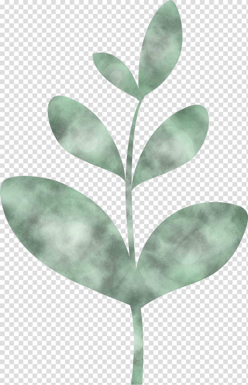 Sprout bud seed, Flush, Leaf, Green, Plant, Flower, Branch, Tree  transparent background PNG clipart | HiClipart