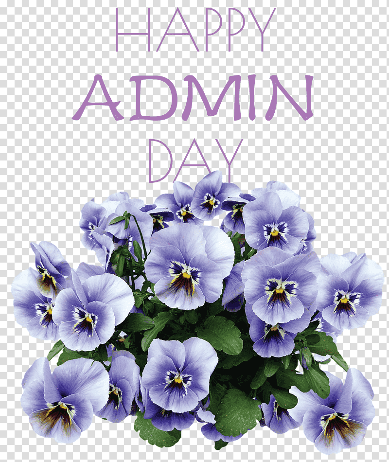 Admin Day Administrative Professionals Day Secretaries Day, Pansy, Flower, Common Blue Violet, Flower Garden, French Hydrangea, Cobalt Blue transparent background PNG clipart