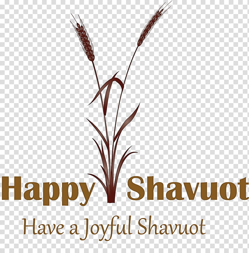 Happy Shavuot Shavuot Shovuos, Text, Plant, Grass, Grass Family, Logo, Flower, Elymus Repens transparent background PNG clipart