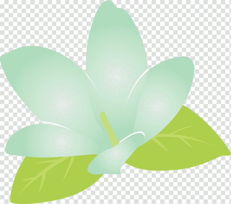jasmine jasmine flower, Plant Stem, Petal, Pollinator, Leaf, Green, Flora transparent background PNG clipart