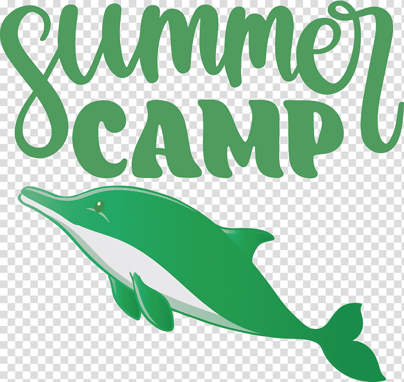 Summer Camp Summer Camp, Summer
, Dolphin, Porpoises, Cetaceans, Meter, Logo transparent background PNG clipart