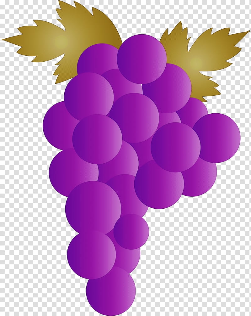 grape wine zante currant juice grape leaves, Grapevines, Fruit, Fruit Wine, Grapefruit, Vintage, Blackcurrant transparent background PNG clipart