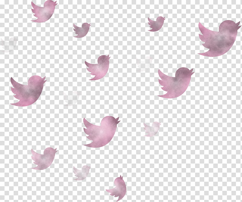 twitter flying birds birds, Pink, Purple, Wing, Violet, Petal, Butterfly transparent background PNG clipart